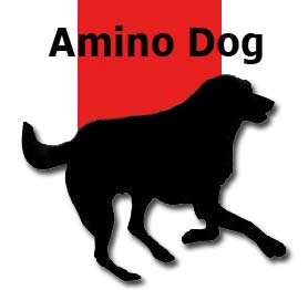 Amino Dog